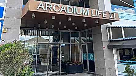 Arcadium Life 2